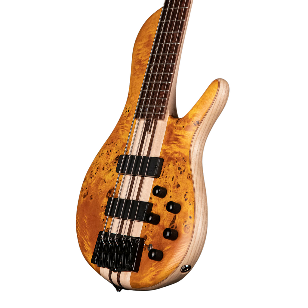 Cort Artisan Series A5 Plus SC 5-String Bass Guitar Amber Open Pore - Ploutone