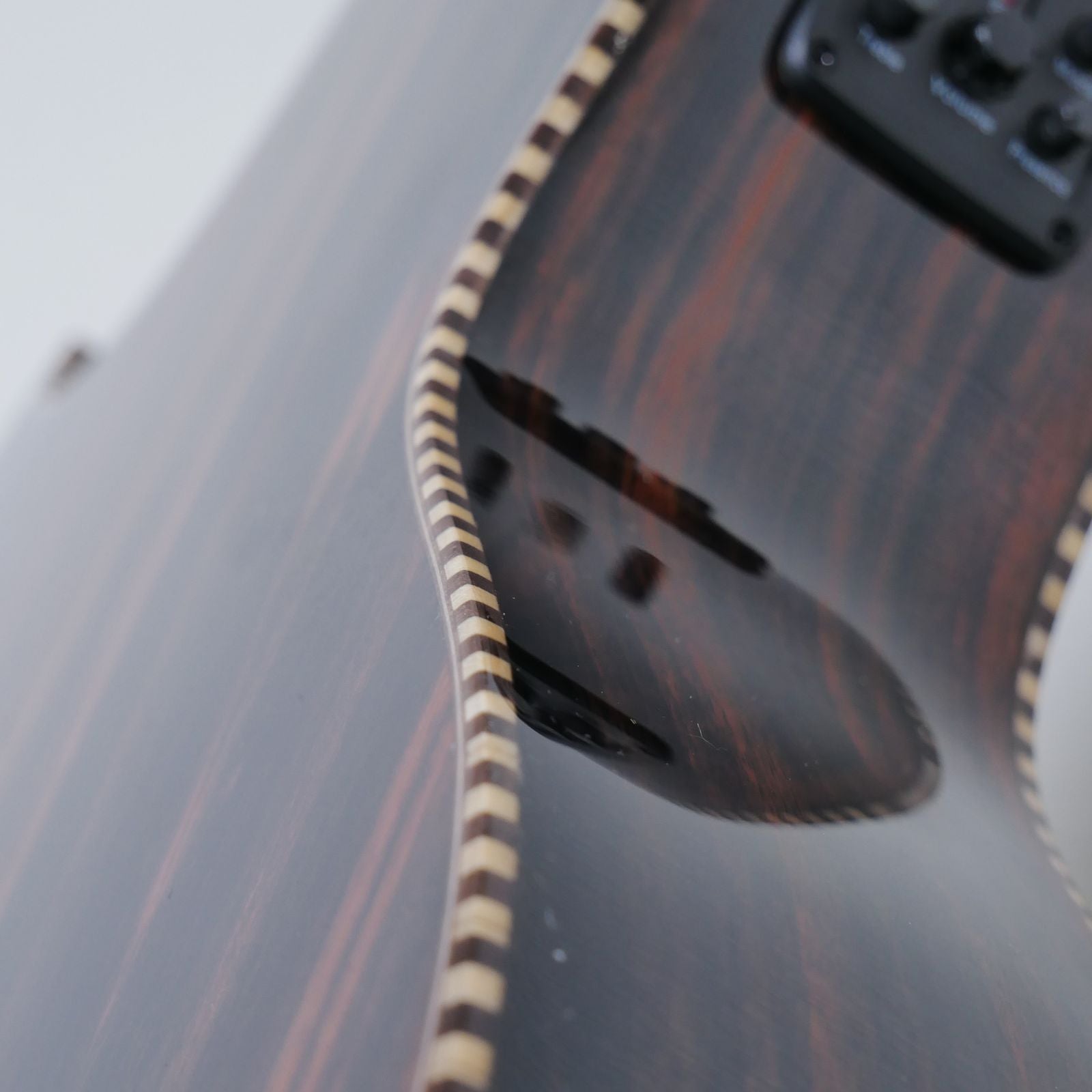 Oscar Schmidt OH52SE Acoustic-Electric Bajo Sexto w/ Bag - Solid Cedar & Macassar Ebony - Ploutone