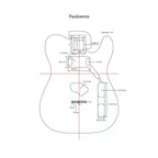 Finished Telecaster Body - Seafoam Green - Ploutone