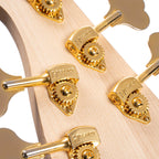 Cort Jeff Berlin Signature Rithimic 5-String Bass Guitar - Natural - Ploutone