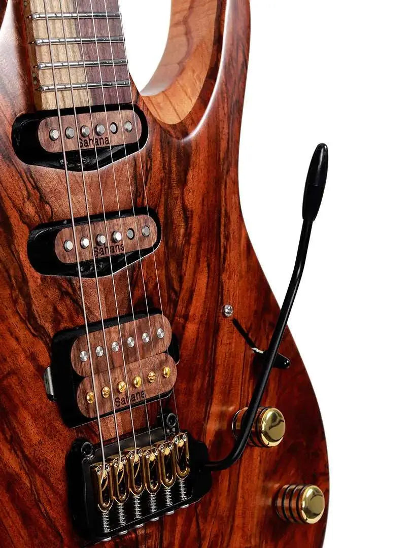Baaz - Sahana Guitars (PREORDER) - Ploutone