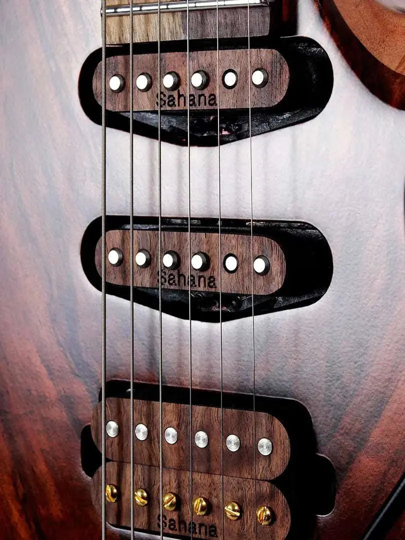 Baaz - Sahana Guitars (PREORDER) - Ploutone