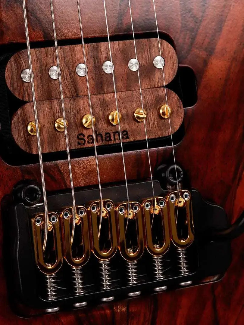 Baaz - Sahana Guitars (PREORDER) - Ploutone