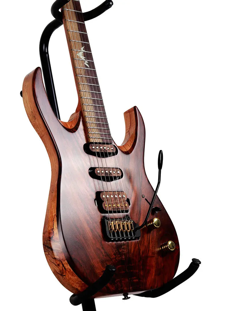 Baaz - Sahana Guitars (PREORDER) - Ploutone