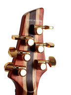Baaz - Sahana Guitars (PREORDER) - Ploutone