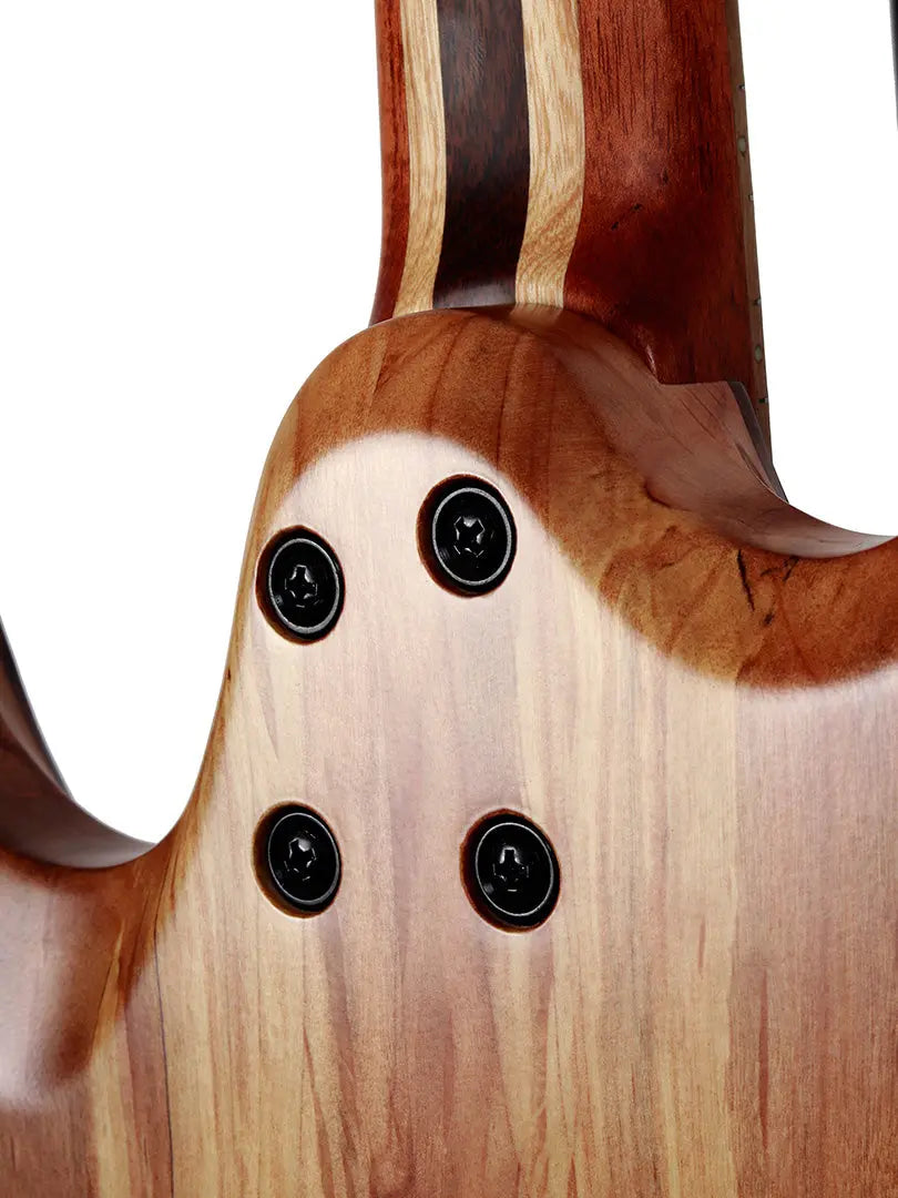 Baaz - Sahana Guitars (PREORDER) - Ploutone